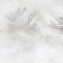 Down Goose Feather/Fiber Fill