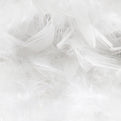 Memory Foam Insert