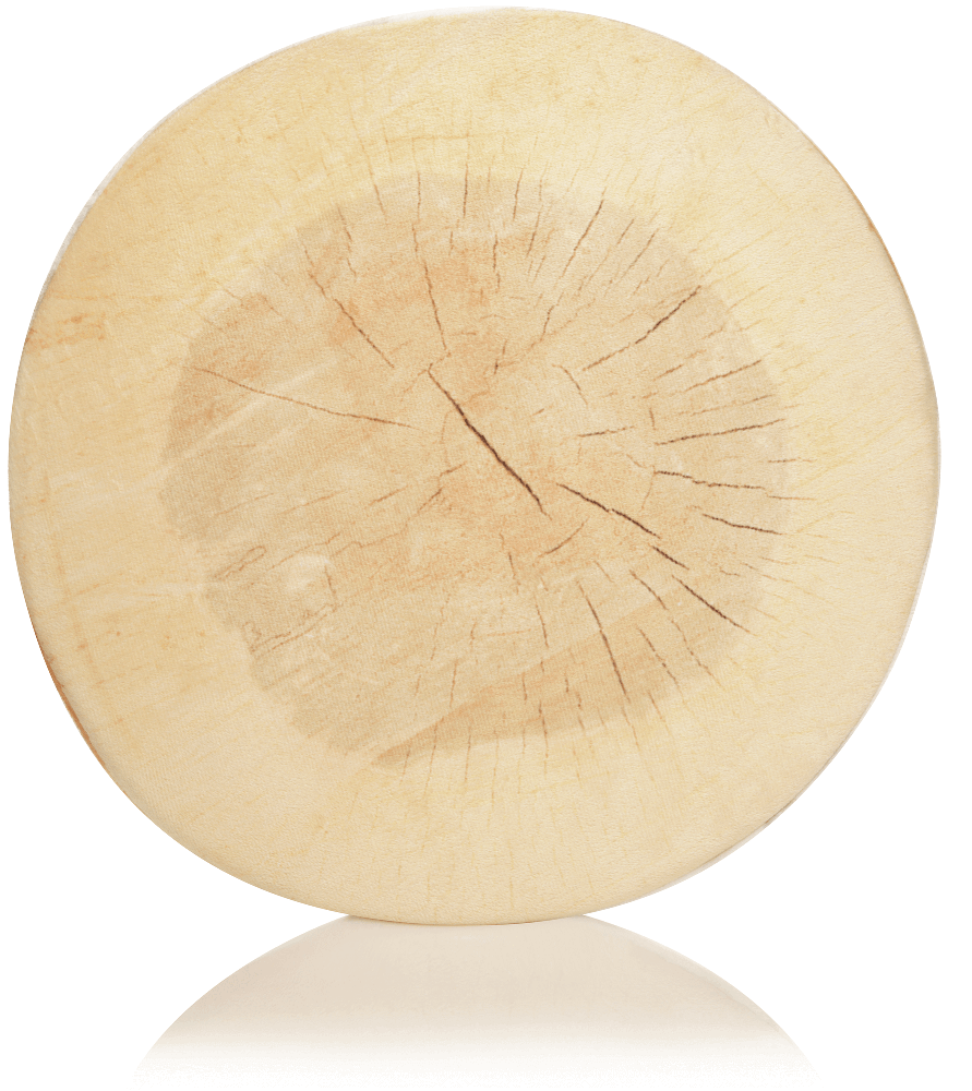 360 - SLICE-LOG-BIRCH - Husband Pillow