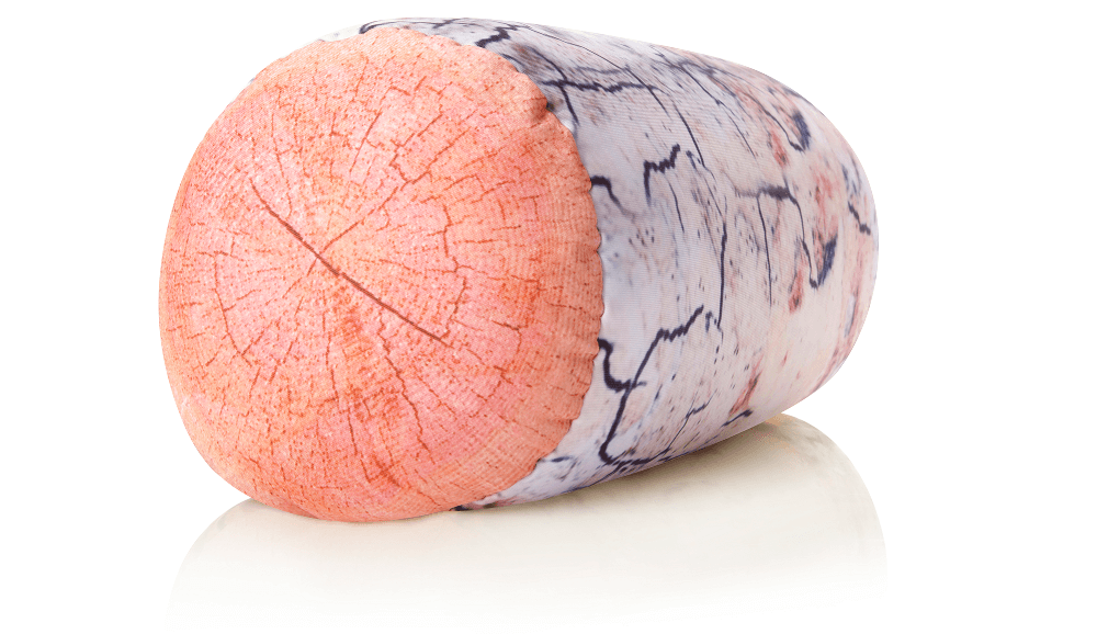 360 - MIC-RLPILL-Plat - Husband Pillow