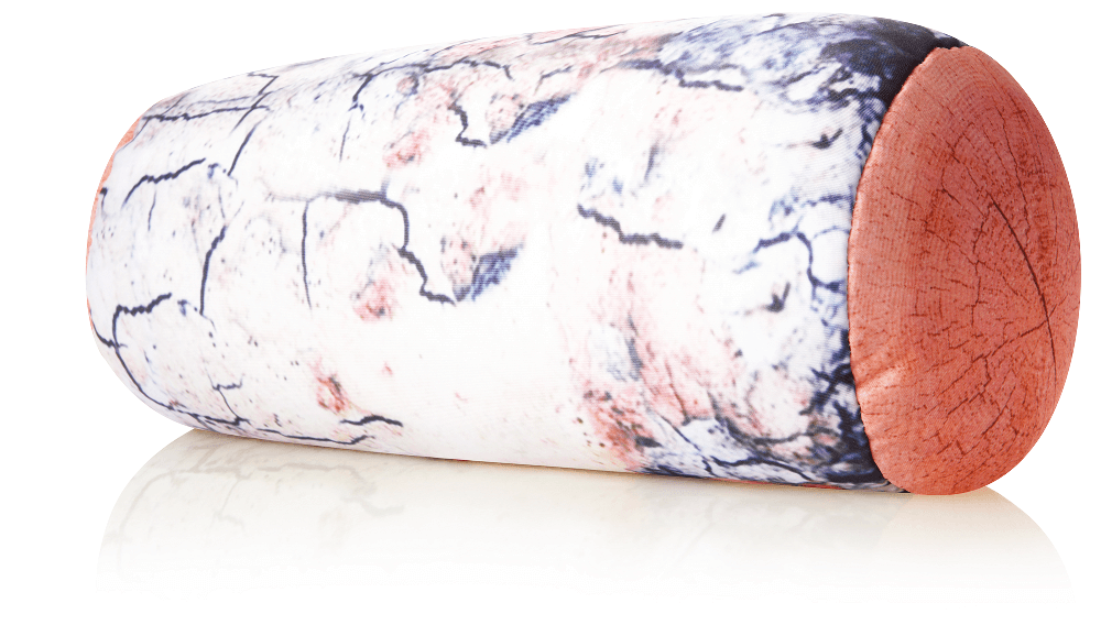 360 - MIC-RLPILL-Plat - Husband Pillow