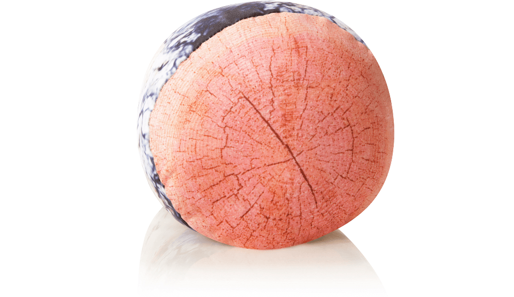 360 - MIC-RLPILL-Plat - Husband Pillow