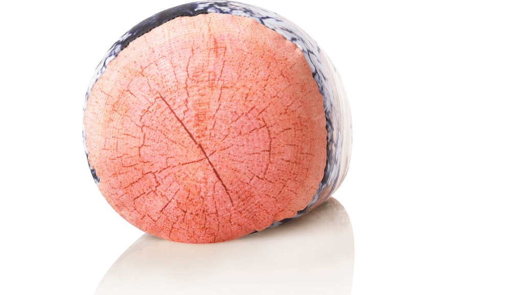 360 - MIC-RLPILL-Plat - Husband Pillow