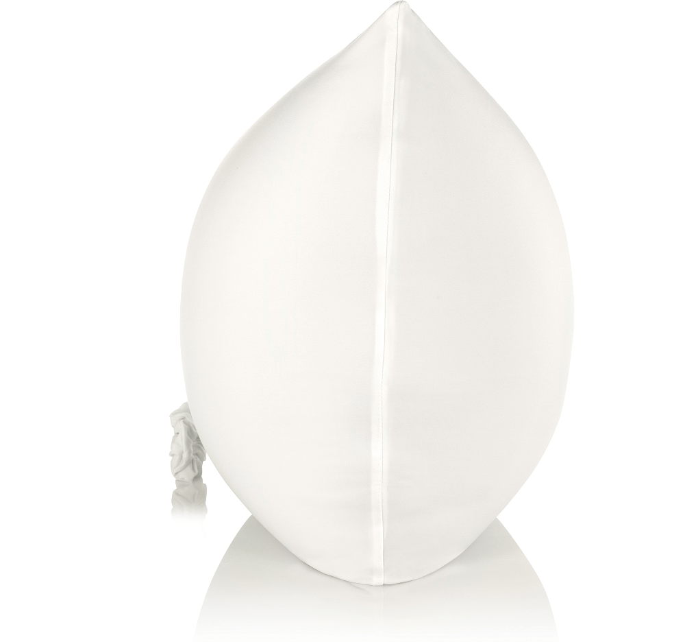 360 - CV_NYSPN-ZP_STAN-White - Husband Pillow