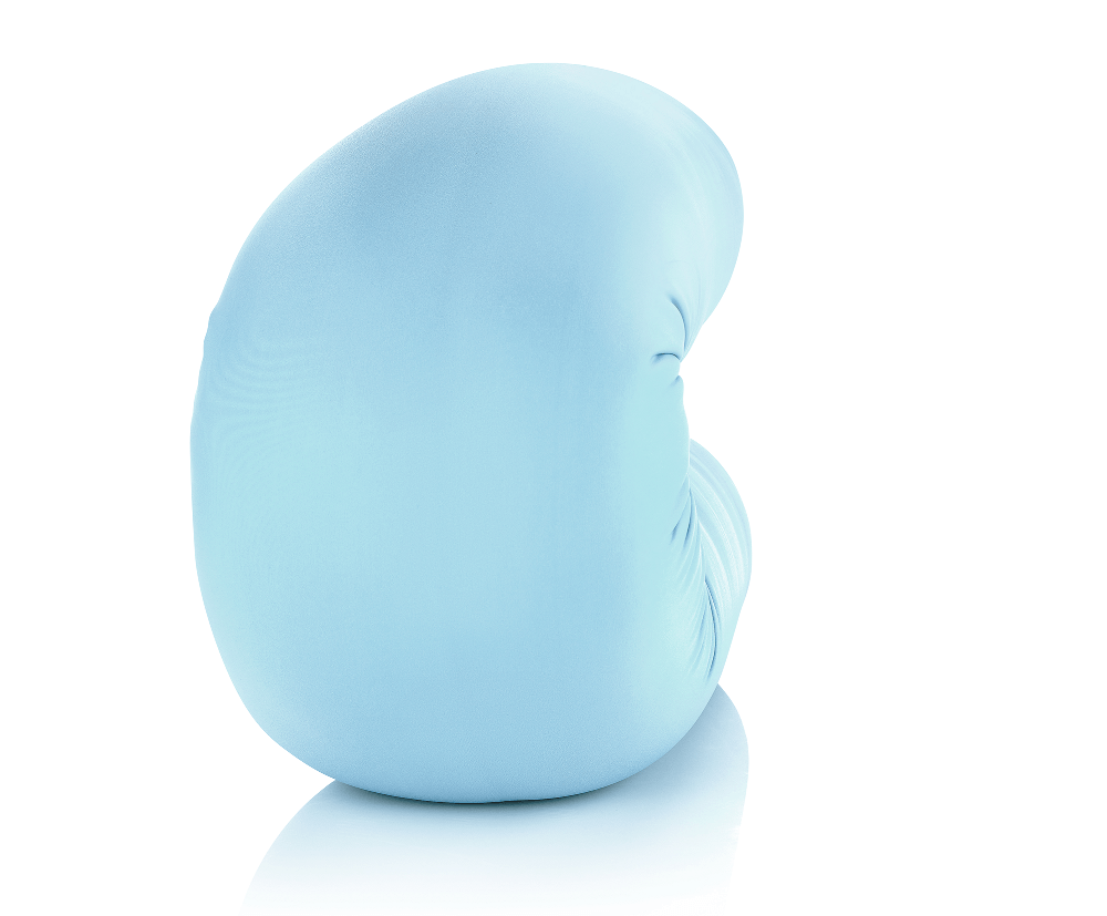 360 - MIC-LGROLL-SWBBlue - Husband Pillow