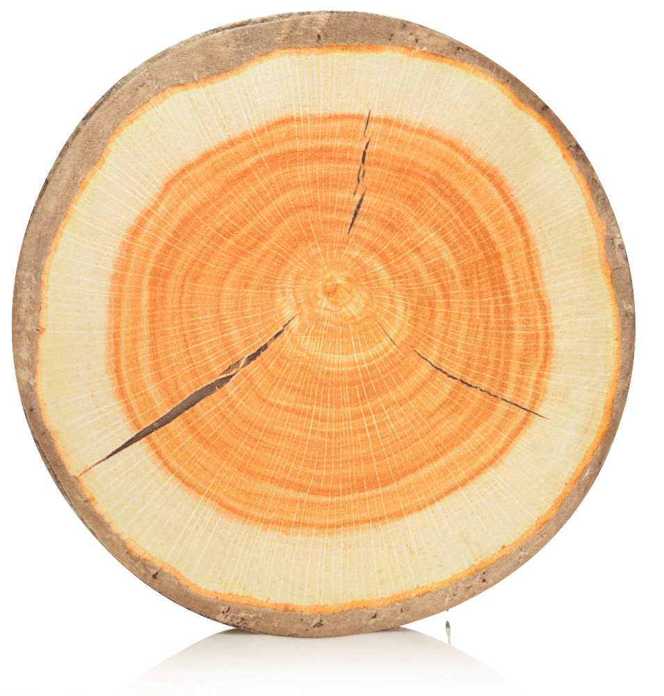 360 - SLICE-LOG-MAPL - Husband Pillow