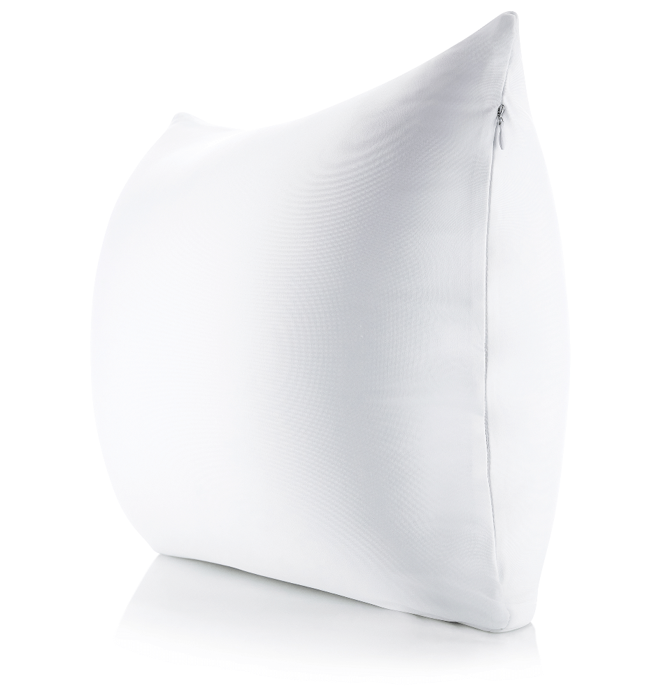 360 - PilSpan-22X22-White - Husband Pillow