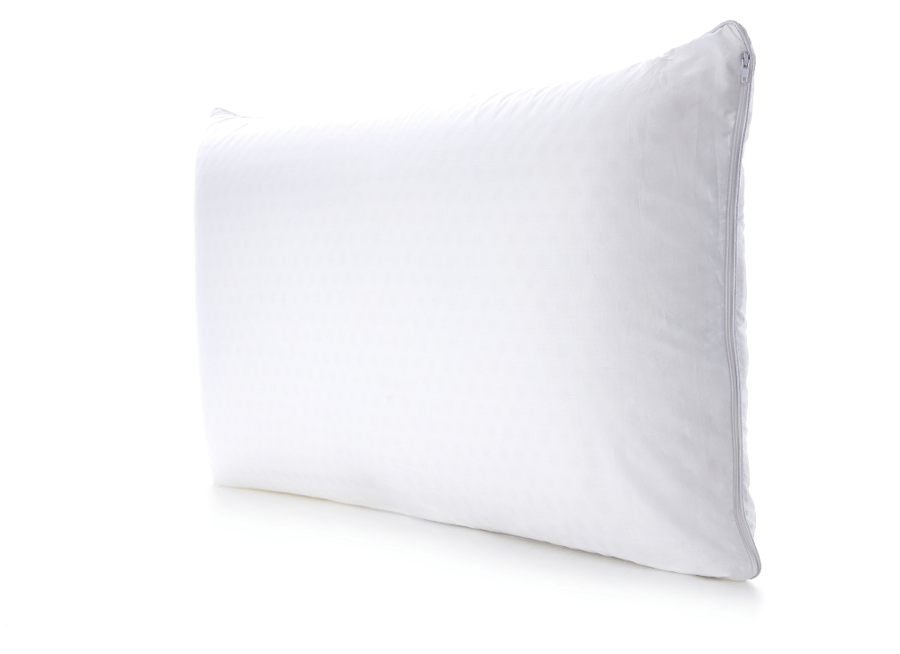 360 - LAT_EX-02 - Husband Pillow