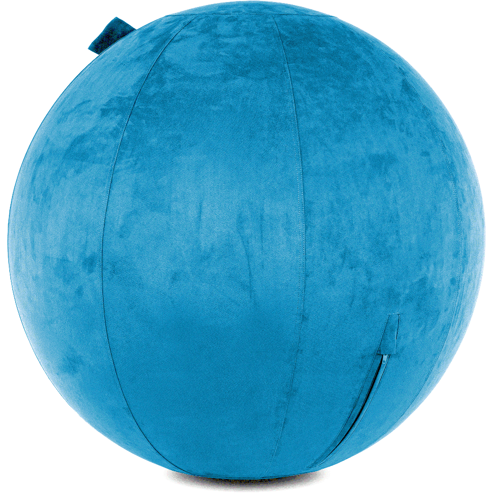 360 - COV-85-COWBALL-RBlue - Husband Pillow