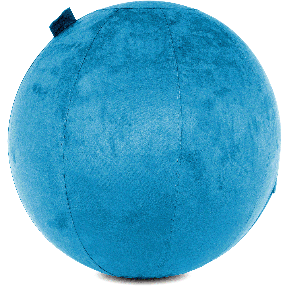 360 - COV-85-COWBALL-RBlue - Husband Pillow