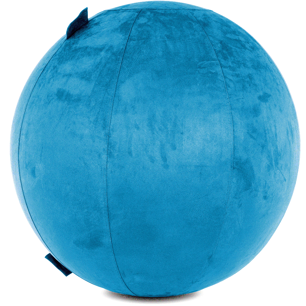 360 - COV-85-COWBALL-RBlue - Husband Pillow