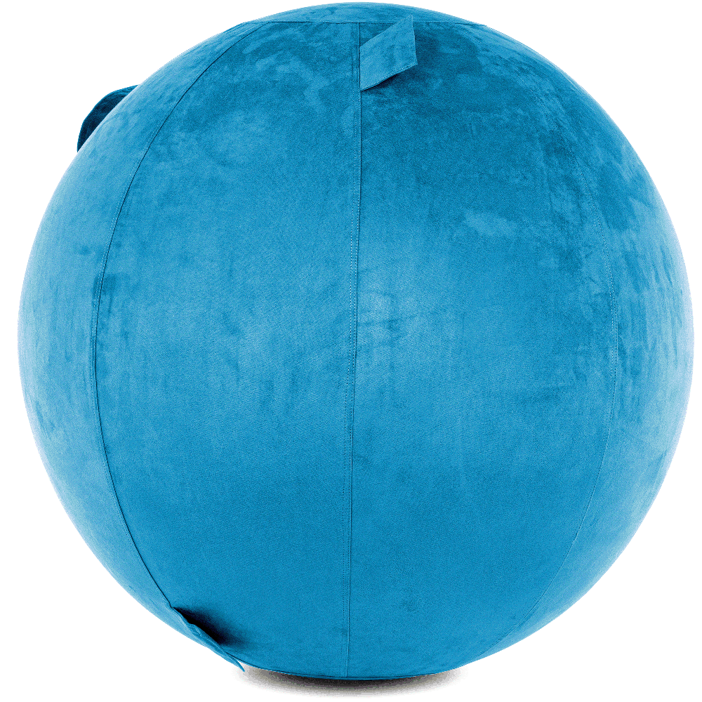 360 - COV-85-COWBALL-RBlue - Husband Pillow