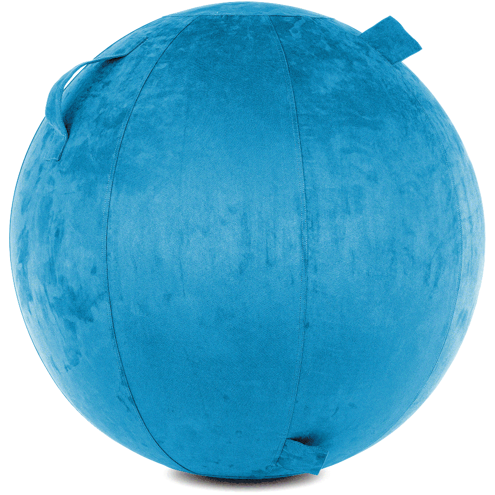 360 - COV-85-COWBALL-RBlue - Husband Pillow