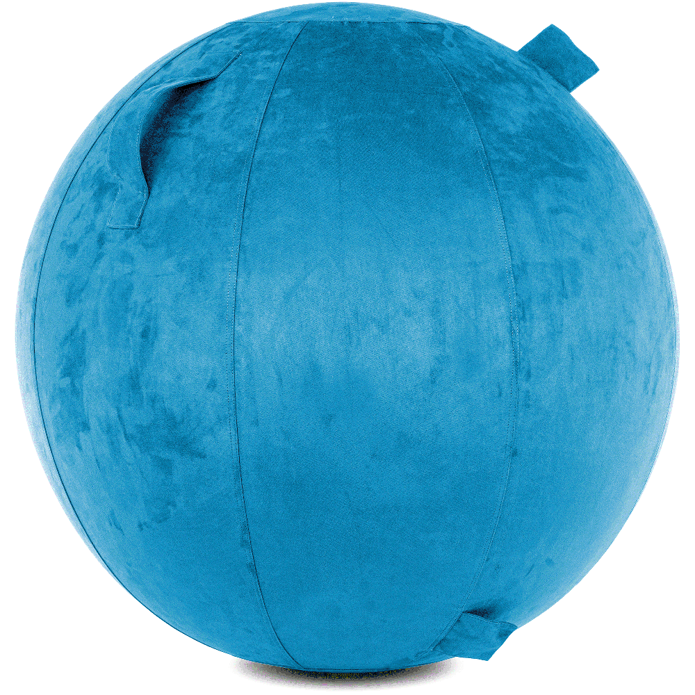 360 - COV-85-COWBALL-RBlue - Husband Pillow