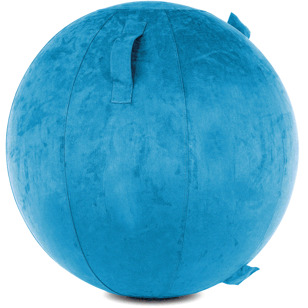 360 - COV-85-COWBALL-RBlue - Husband Pillow