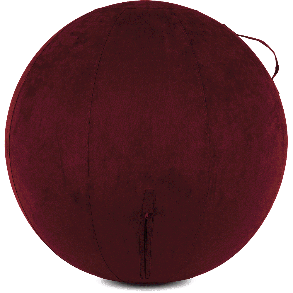 360 - YOGA-65-COWBALL-AMaroon-Elect - Husband Pillow