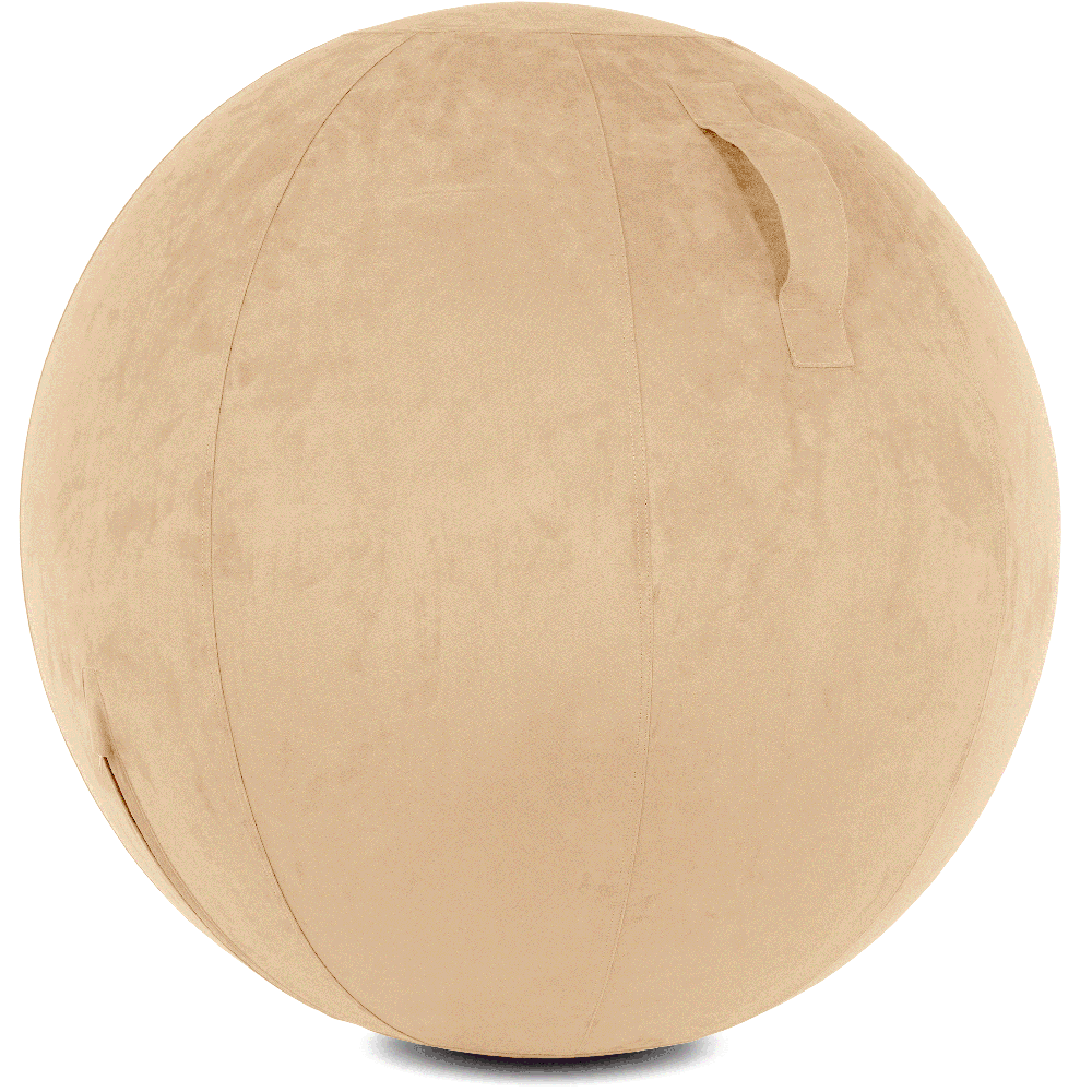 360 - YOGA-65-COWBALL-CTaupe-Elect - Husband Pillow