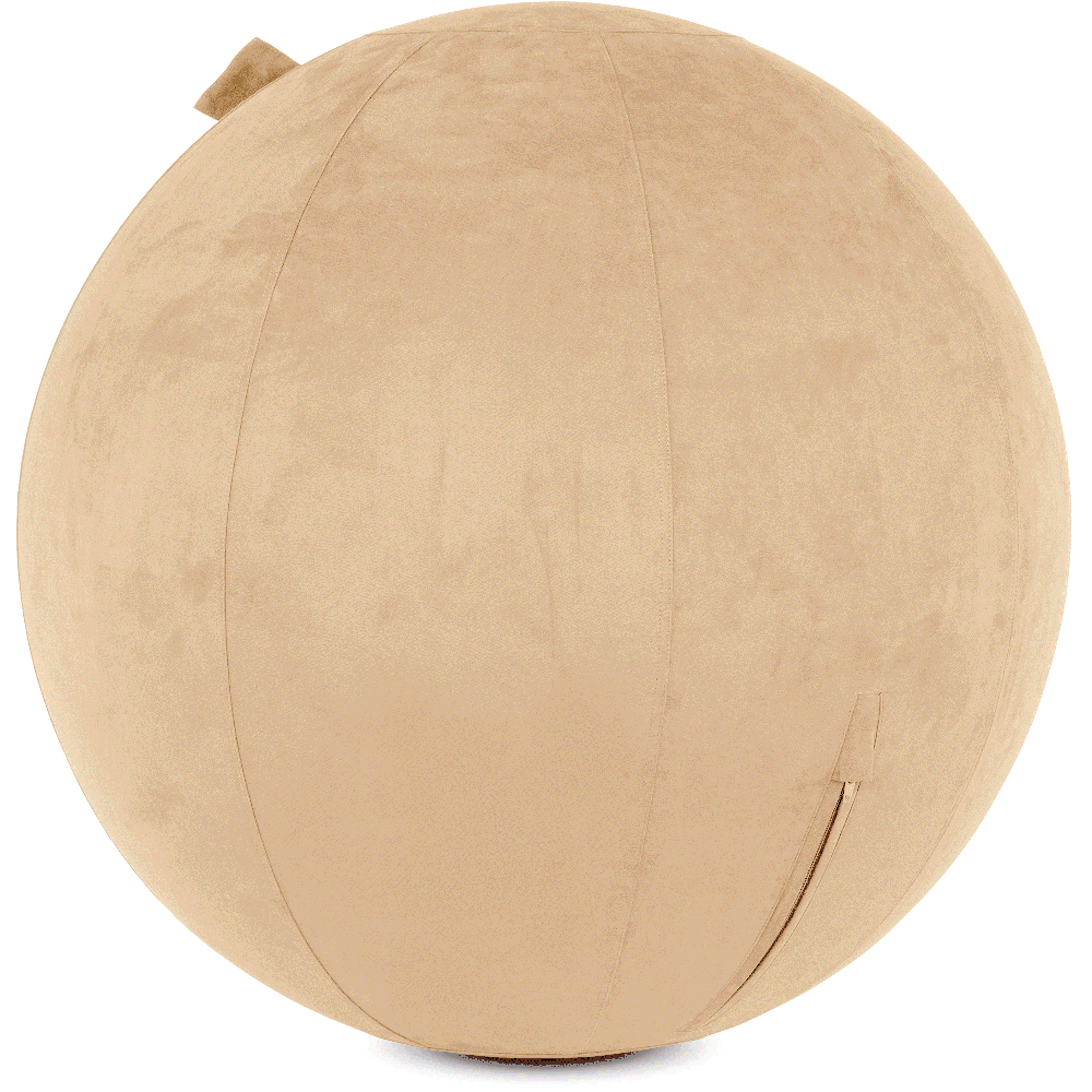 360 - YOGA-65-COWBALL-CTaupe-Elect - Husband Pillow
