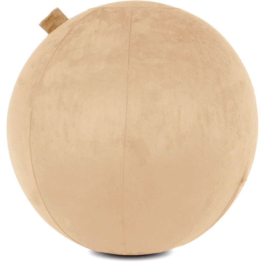 360 - YOGA-65-COWBALL-CTaupe-Elect - Husband Pillow