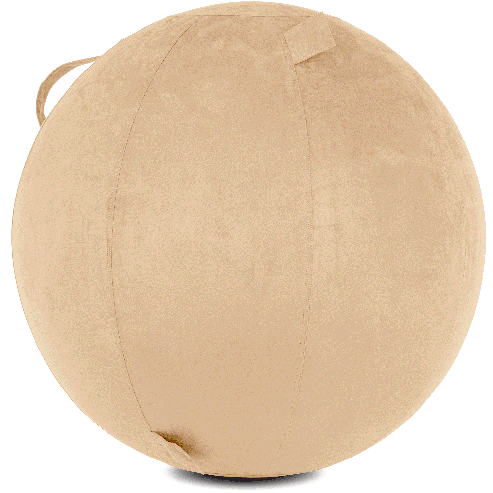 360 - YOGA-65-COWBALL-CTaupe-Elect - Husband Pillow