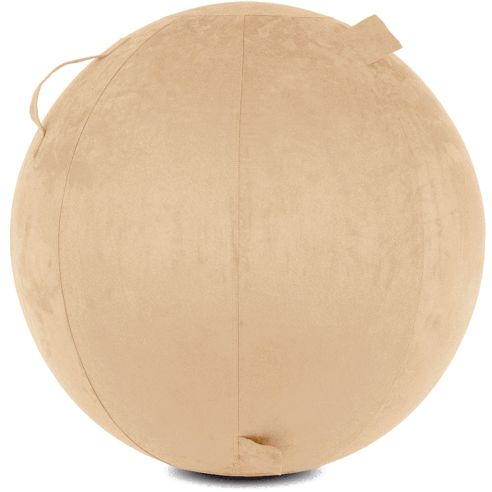 360 - YOGA-65-COWBALL-CTaupe-Elect - Husband Pillow