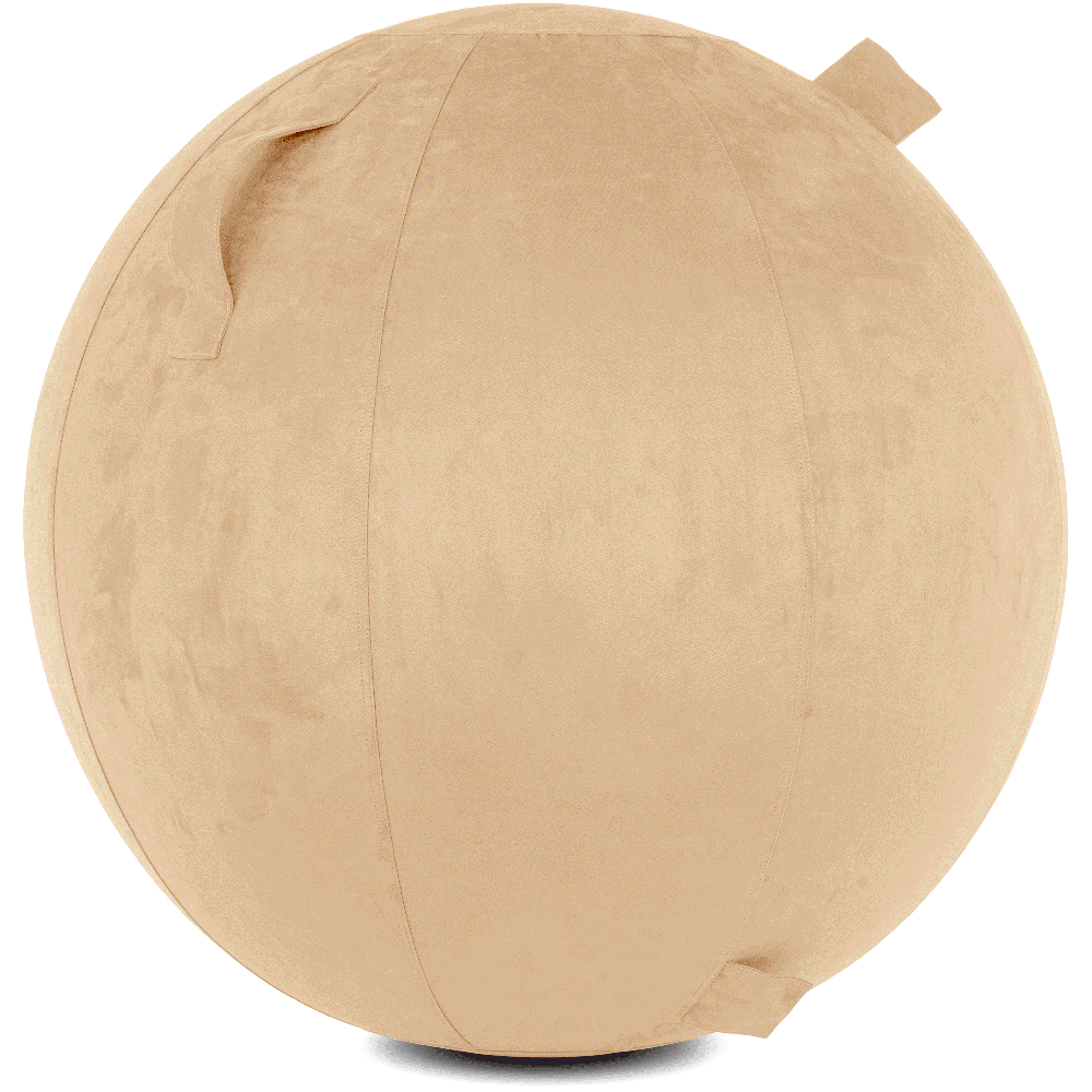 360 - YOGA-65-COWBALL-CTaupe-Elect - Husband Pillow