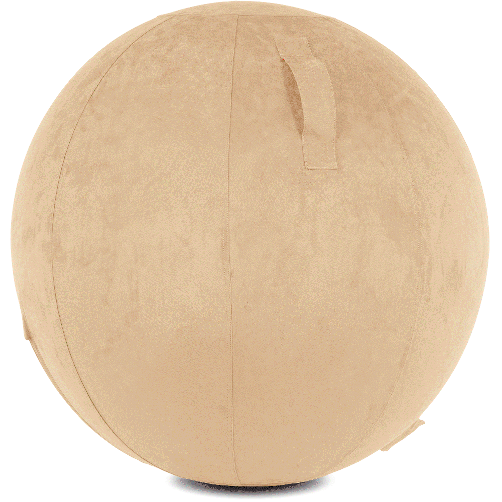 360 - YOGA-65-COWBALL-CTaupe-Manual - Husband Pillow