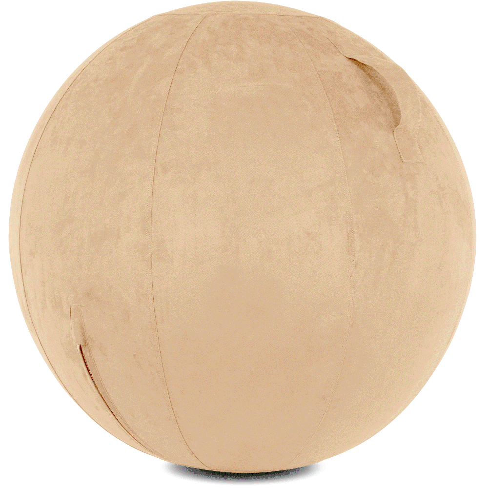360 - YOGA-65-COWBALL-CTaupe-Manual - Husband Pillow