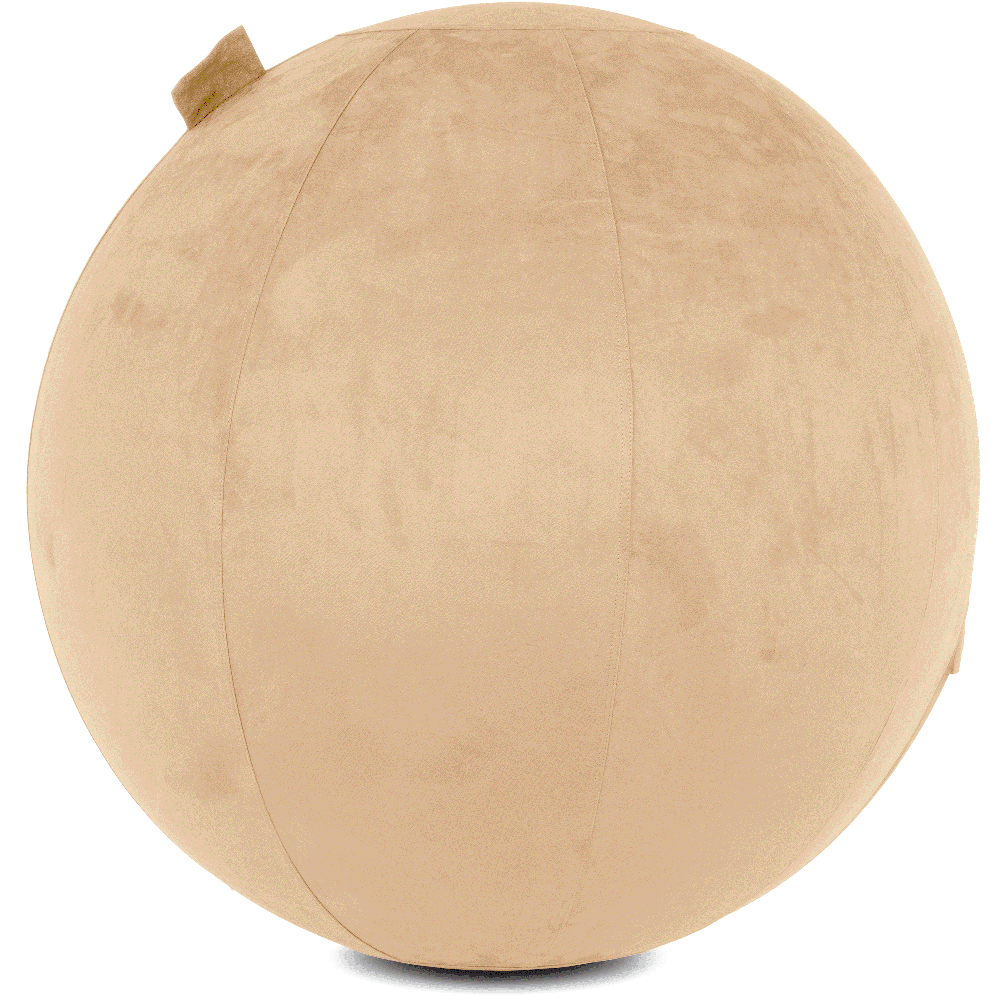 360 - YOGA-65-COWBALL-CTaupe-Manual - Husband Pillow