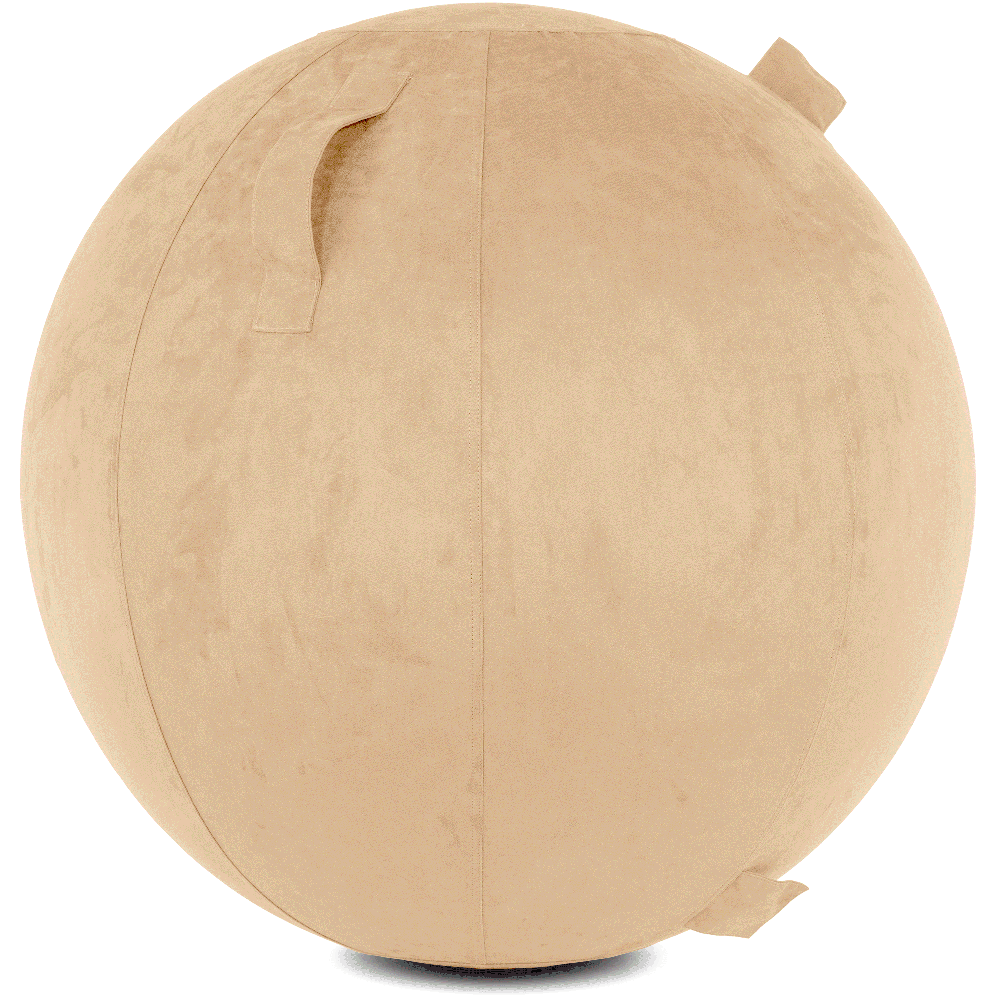 360 - YOGA-65-COWBALL-CTaupe-Manual - Husband Pillow