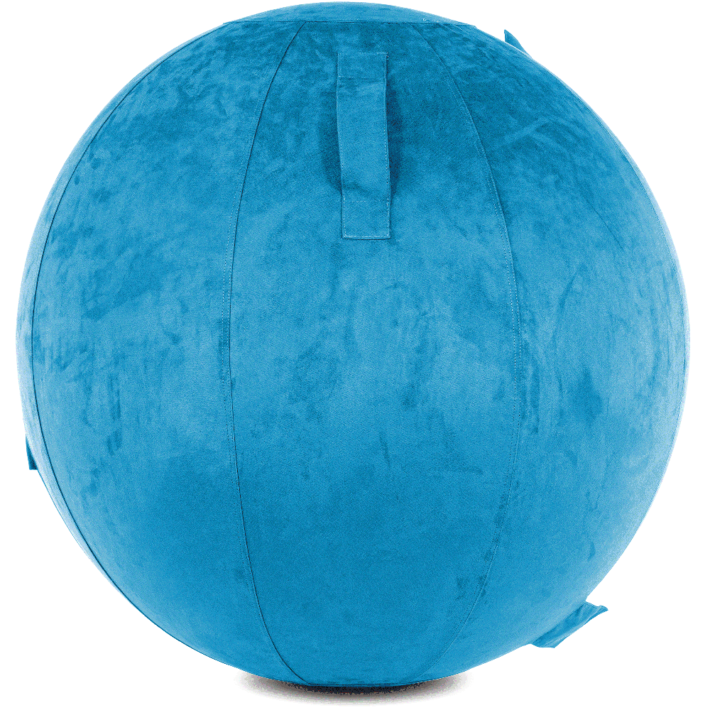 360 - YOGA-65-COWBALL-RBlue-Manual - Husband Pillow