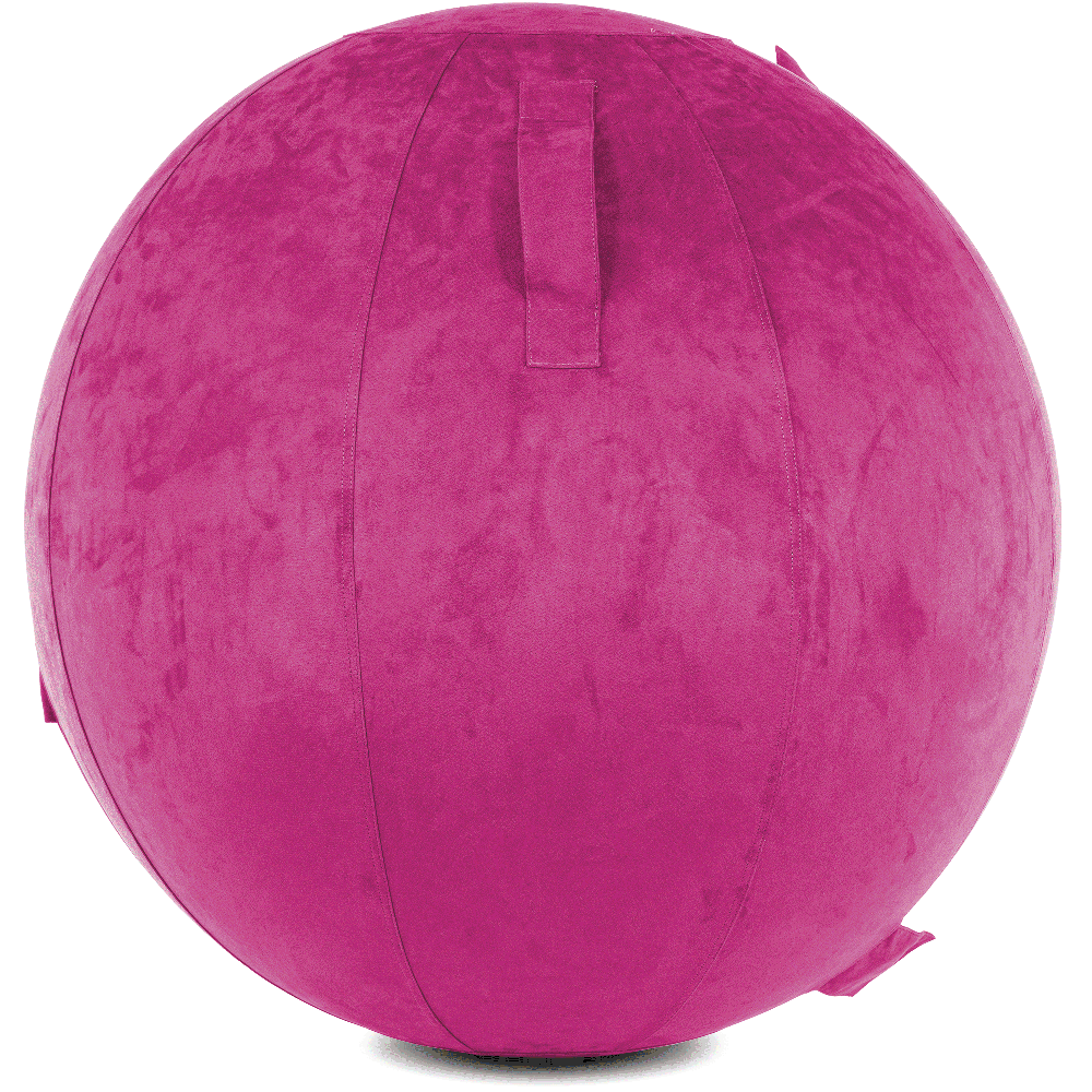 360 - YOGA-65-COWBALL-SRaspberry-Elect - Husband Pillow