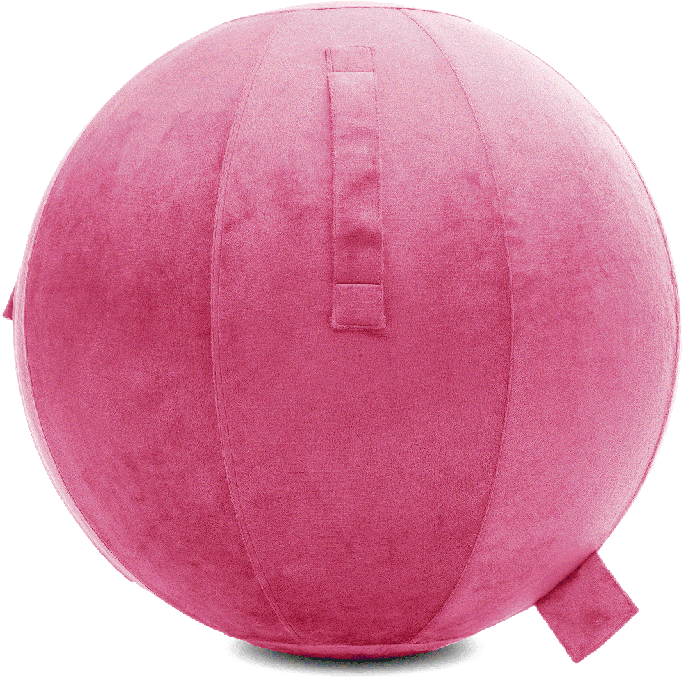 360 - YOGA-65-PBALL-Pink-Elect - Husband Pillow