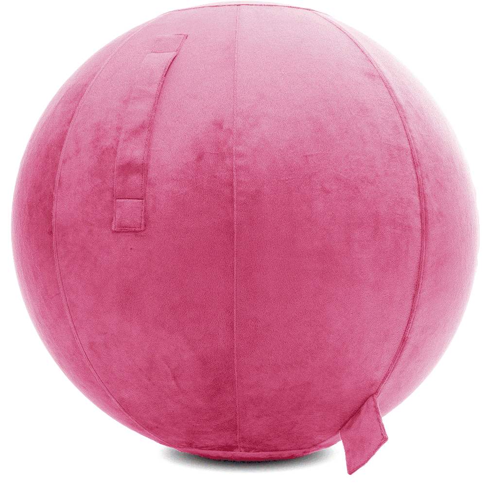 360 - YOGA-65-PBALL-Pink-Manual - Husband Pillow