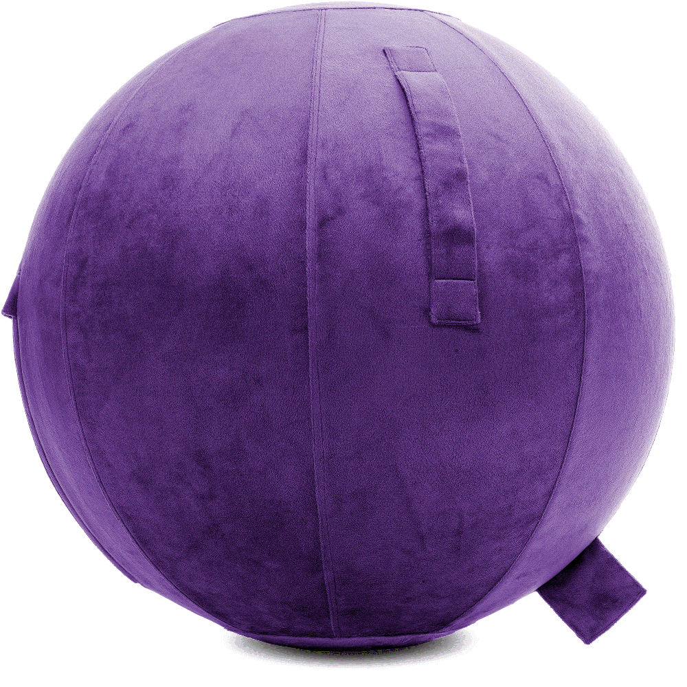 360 - YOGA-65-PBALL-Purp-Elect - Husband Pillow