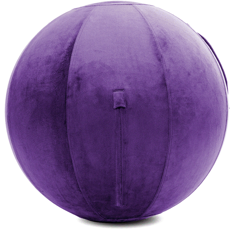 360 - YOGA-65-PBALL-Purp-Elect - Husband Pillow