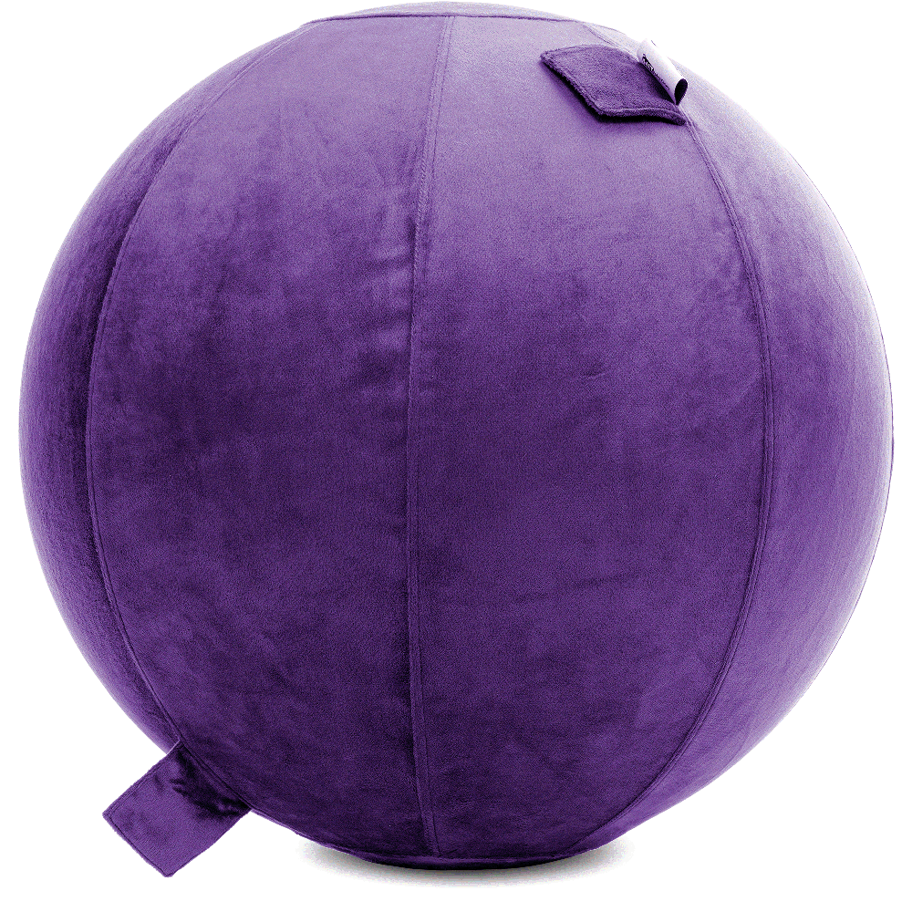 360 - YOGA-65-PBALL-Purp-Elect - Husband Pillow