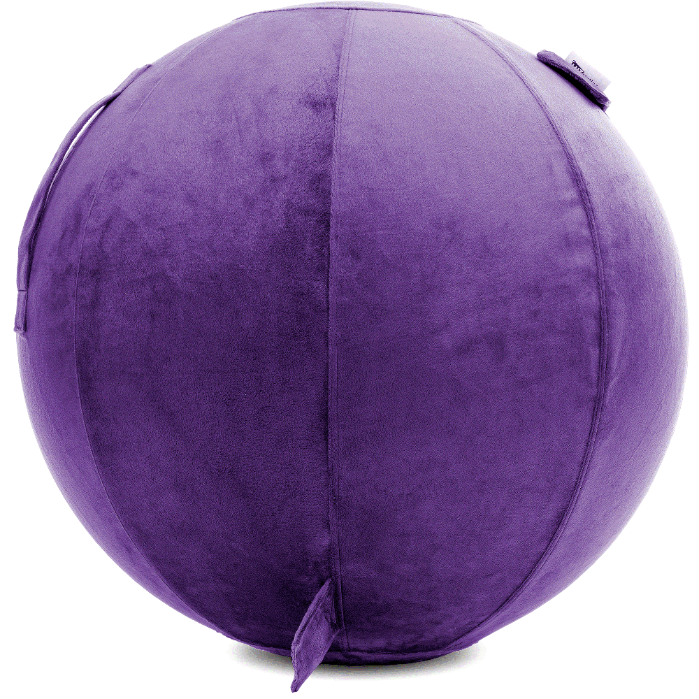 360 - YOGA-65-PBALL-Purp-Elect - Husband Pillow