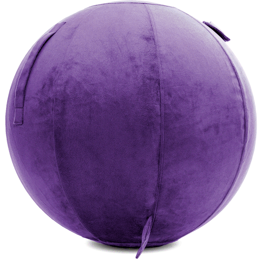 360 - YOGA-65-PBALL-Purp-Elect - Husband Pillow