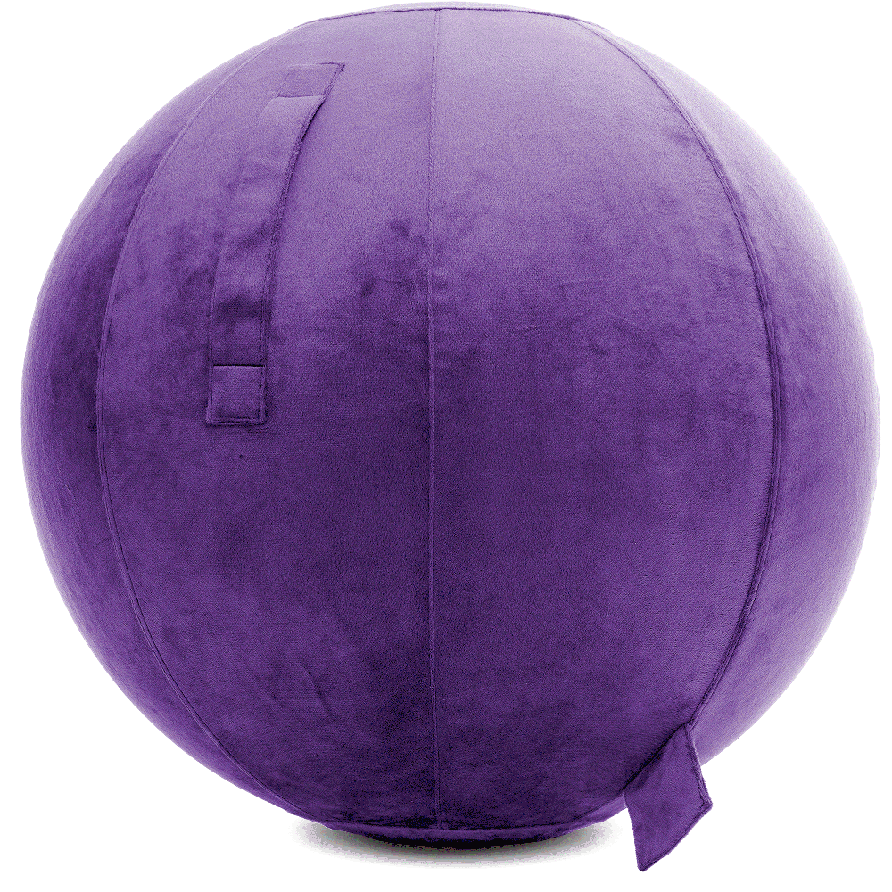 360 - YOGA-65-PBALL-Purp-Elect - Husband Pillow