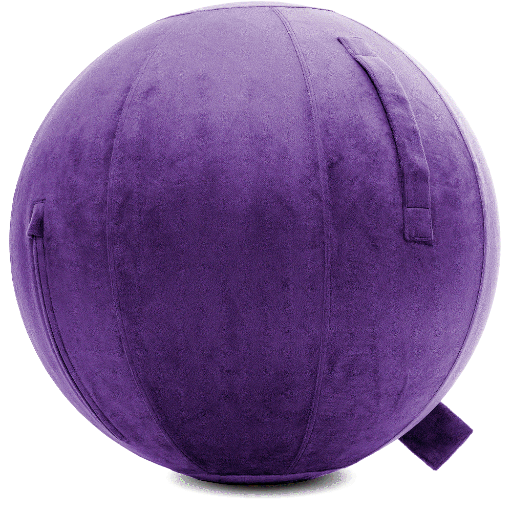360 - YOGA-65-PBALL-Purp-Manual - Husband Pillow