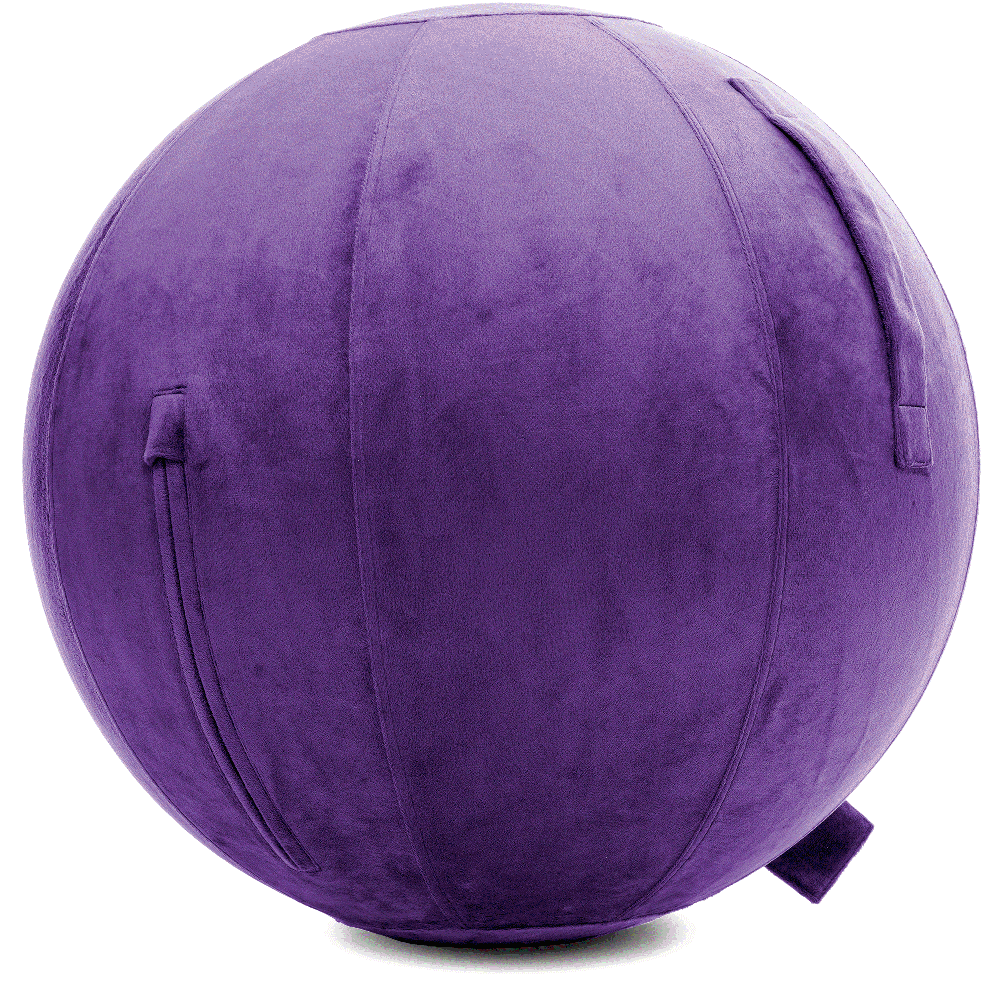 360 - YOGA-65-PBALL-Purp-Manual - Husband Pillow