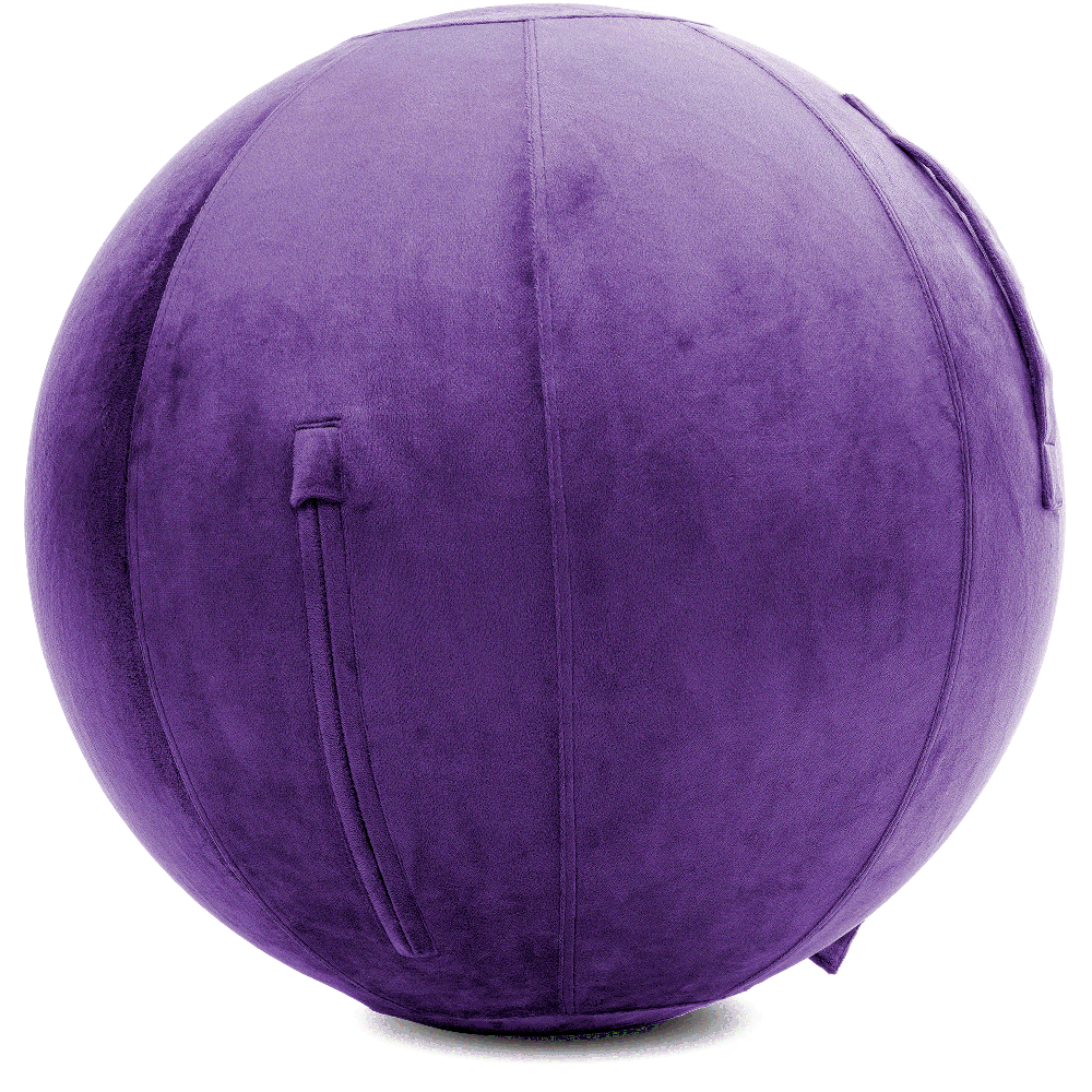 360 - YOGA-65-PBALL-Purp-Manual - Husband Pillow