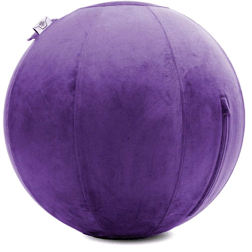 360 - YOGA-65-PBALL-Purp-Manual - Husband Pillow