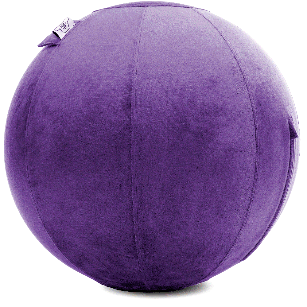 360 - YOGA-65-PBALL-Purp-Manual - Husband Pillow