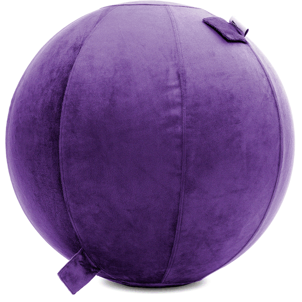 360 - YOGA-65-PBALL-Purp-Manual - Husband Pillow