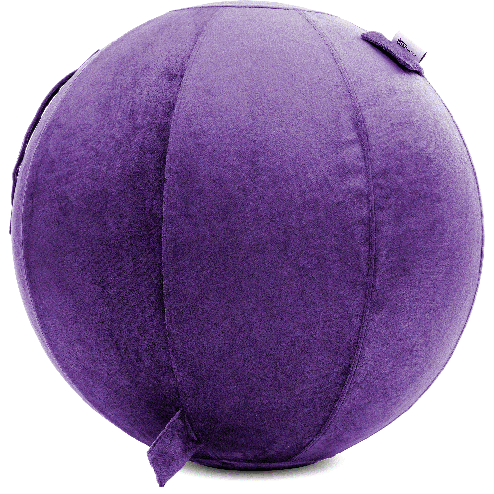 360 - YOGA-65-PBALL-Purp-Manual - Husband Pillow
