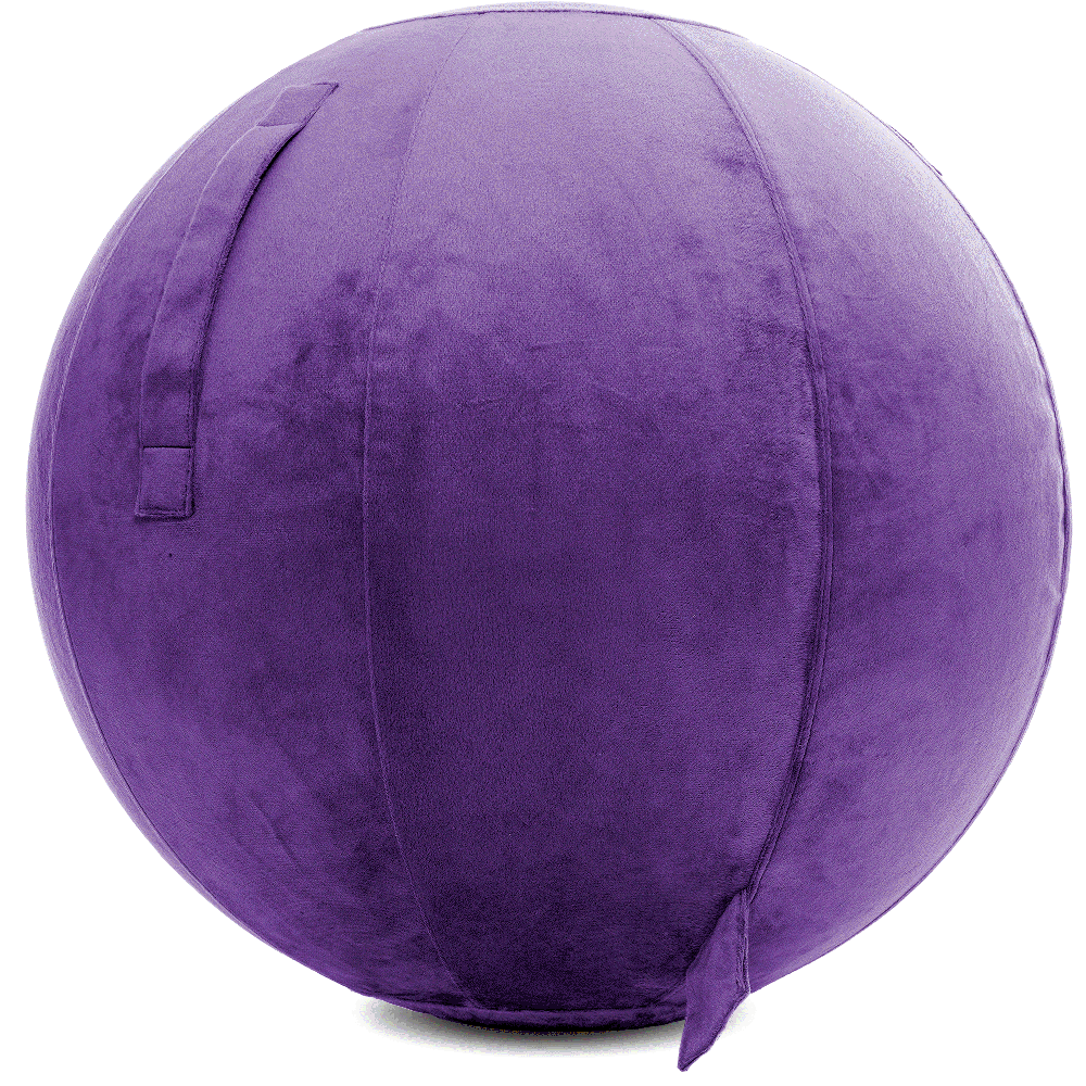 360 - YOGA-65-PBALL-Purp-Manual - Husband Pillow