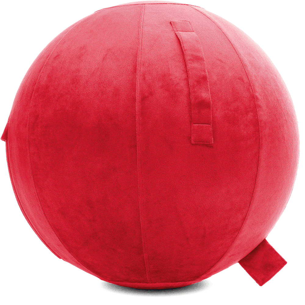 360 - YOGA-65-PBALL-Red-Elect - Husband Pillow