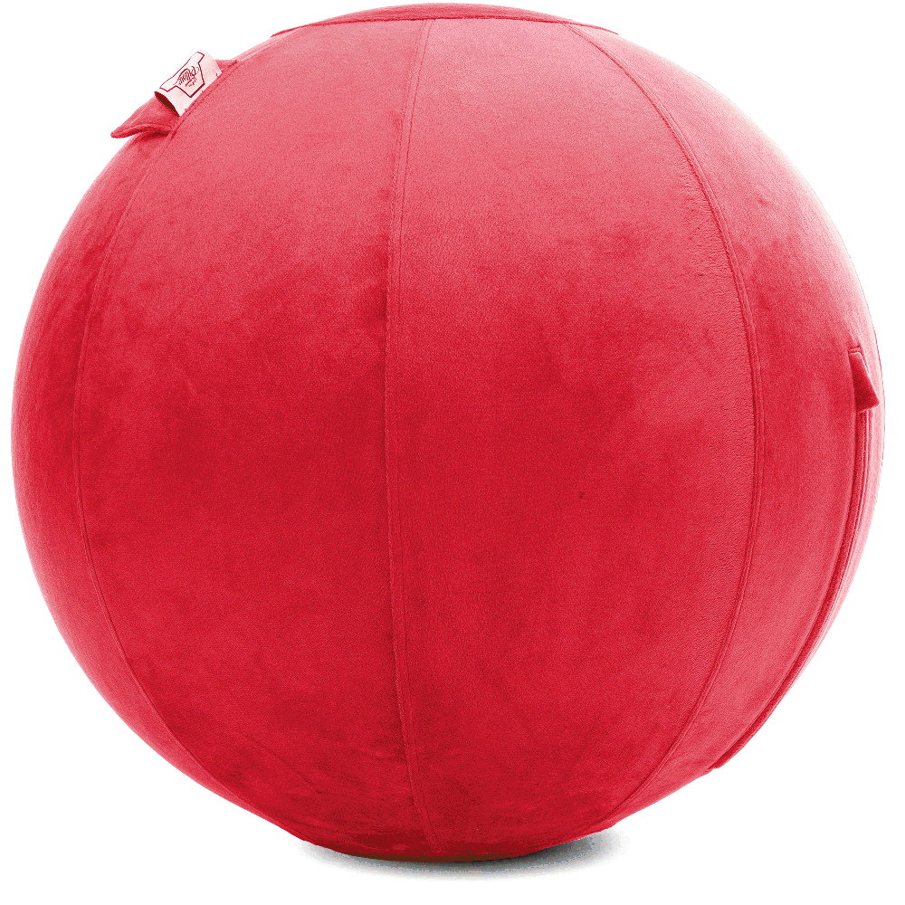 360 - YOGA-65-PBALL-Red-Elect - Husband Pillow